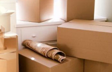 We provide Domestic packaging and shipping services - Freight Dynamics