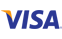 Visa Card Icon